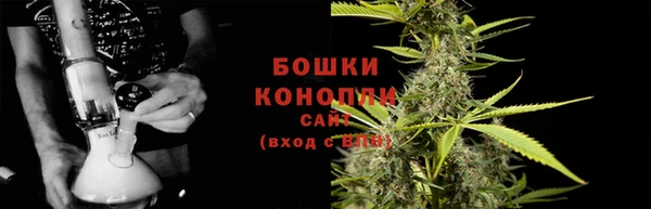 бошки Арсеньев