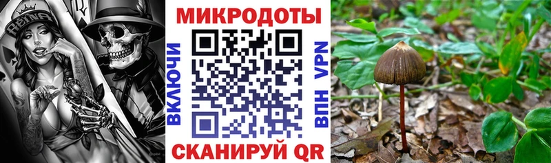 Галлюциногенные грибы ЛСД площадка какой сайт Жигулёвск